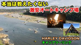 オススメ【埼玉県・激安キャンプ場】かわせみ河原◉HARLEY DAVIDSON FLTRX  M8 vol.230