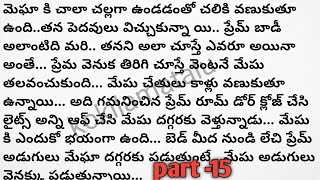 మనసిచ్చాను కానీ|part -15|మేఘ తల్లి కాబోతుంది|అని డాక్టర్ చెప్పగానే ప్రేమ్ షాక్ అయ్యాడు