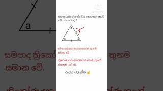 ත්‍රිකෝණ / ප්‍රමේයයන් 😀🎓 #maths #viral #shorts