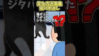 窓の外みたら猫がぶら下がってた→思わず助けた結果ww【2chスカッとスレ】 #shorts