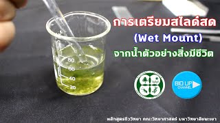 การเตียมสไลด์สด (Wet mount) จากน้ำตัวอย่างสิ่งมีชีวิต