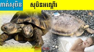 សុបិនឃើញអណ្ដើកសារថ្មី-Dreaming seeing of a turtle