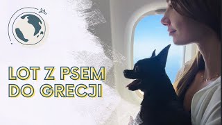 ✈️ LOT Z PSEM 🐶 SAMOLOTEM w UE - wszystko co musisz wiedzieć