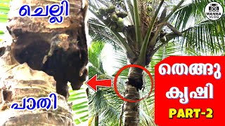 തെങ്ങിന് തടം എടുക്കരുത്  Part 2 | വിപ്ലവവുമായി ശാസ്ത്രജ്ഞൻ | Dr Madhusudhanan Nair #coconut