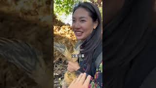 偶遇農村俠女與駿馬，熱情滿滿