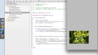 iPhone/iPad Development Using Objective-C: Gesture Recognizers Tutorial (Intro)