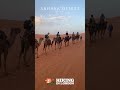 Sahara Desert Tour & Marrakech, Morocco: A Journey of Wonders 🇲🇦 | #Shorts