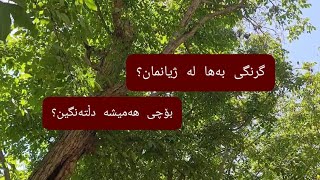 بۆچی زوو زوو دڵتەنگ دەبم؟!