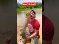 KING COBRA Kisses At The Lake🤣😭🤯#shorts #snake #kingcobrajfs #ytshorts #animals @NickTheWrangler_TV