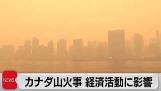 カナダ山火事で深刻な大気汚染　経済活動に影響も（2023年6月8日）