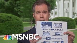 Podium Signs Suggest President's Angry Rose Garden Speech Was Preplanned | Andrea Mitchell | MSNBC