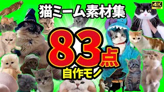 【猫ミーム素材集6】世界でここにしかない自作モノ83点！グリーンバック(SpaceCat Meme Green Back Screen)