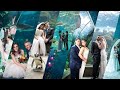 The Florida Aquarium Wedding Video Promo By A Stewart Photo & Video