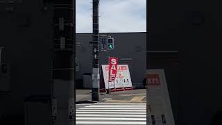 同種同時鳴きの1015号ピヨ（今度動画にします）