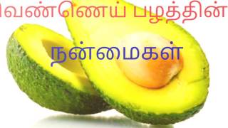 Avocado Fruit Vennai Pazham Benefits in Tamil