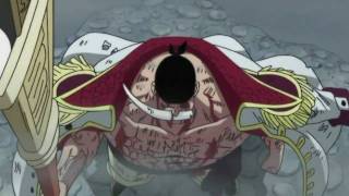 Whitebeard Last Battle