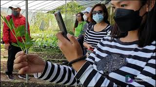 COSMIC FARM TOUR | Eco tourism and Agri Tour in La Trinidad | Walking Tour