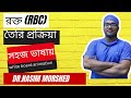 রক্ত কি ভাবে তৈরি হয় rbc production .