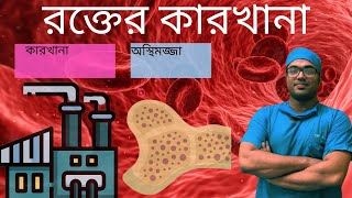 রক্ত কি ভাবে তৈরি হয় ?RBC production .