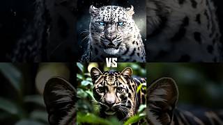 ये सब Junglee जानब मेसे कौन सबसे powerfull जानबर है आइए देखते है#twoanimalfight#ViralShorts