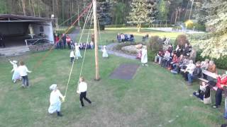 Maibaum 2016