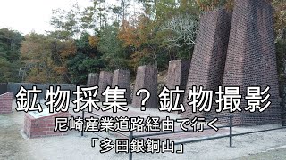 鉱物採集　猪名川町「多田銀銅山」