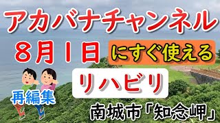 再編集【８月１日にすぐ使えるリハビリ＆介護レク】■座ってできる認知症予防体操■記念日や沖縄の言葉も学べるアカバナチャンネル