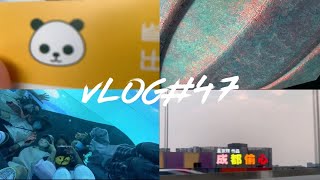 【毕业旅行】澳门大学生毕业旅行第三站——四川成都\u0026德阳广汉｜三星堆、都江堰｜美食盛宴：翘脚牛肉、柴火鸡、钵钵鸡、醪糟…