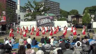 ENTORANCE　黒崎よさこい祭り　2014　メイン会場