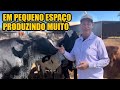 A FAZENDA MODELO AUTO SUFICIENTE - EMPÓRIO AROEIRA / SEU MAURO