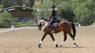 Teach your horse to pick up the correct lead