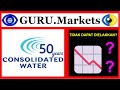 ⚠️ Consolidated Water Co. (CWCO) - analisis syarikat, ticker CWCO ramalan daripada GURU.Markets​ 📈