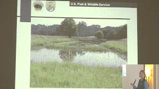 Oxbow Restoration for Habitat and Water Quality Improvement