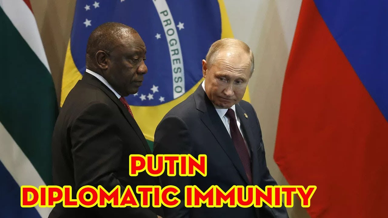 South Africa Grants Putin And Brics Leaders Diplomatic Immunity For ...