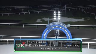 第４回 ウポポイオータムスプリント(HⅡ)（ビッグアーサー賞）一般オープン［2023.9.14 門別第12R/1200m ダート］