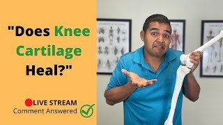 Does Knee Cartilage Heal?