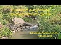 wayanad devaraj 5 acre house river forsale മീനങ്ങാടി 5 acre വീട് പുഴ വില്പനക്ക്