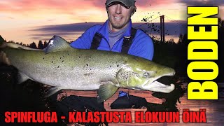 RUOTSIN LOHIKALAPAIKAT - BODENIN KALAVINKIT VOL.2 ( ELOKUUN LOHENKALASTUS / SPINFLUGA KALASTUS )