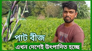 পাট বীজ এখন দেশেই উৎপাদিত হচ্ছে।  Jute seeds are now being produced in the country।