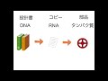 ⑬pcr検査を理解するための基礎知識 1