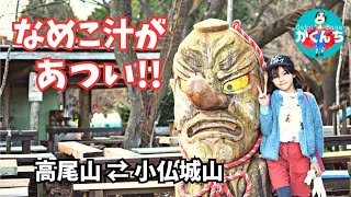 【高尾山 ⇄ 小仏城山 11月】なめこ汁食べに親子で奥高尾まで往復 / Treckking in Mt.Takao