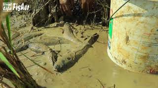 SUPER TOP 3 - Amazing Unique Fishing! Dry Season Fishing in CAMBODIA