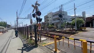 休日の南海本線紀ノ川〜和歌山市を走行する8300系