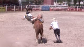 Gisborne Rodeo - Smudge rides a Bull