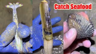 Catching Seafood 🦀🦐🐌 Catch Seafood Vlog ( Catch Seafood , Catch Crab , Catch Shrimp )