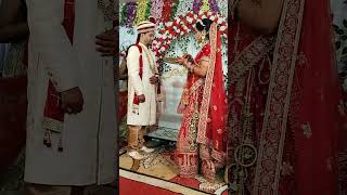 Indian Wedding Varmala Scene #shorts