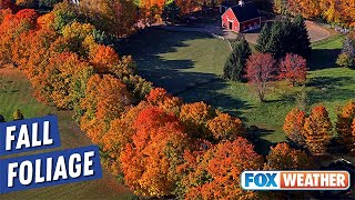 Autumn Colors Starting To Pop In New England