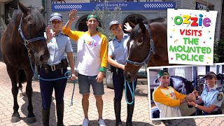 Police Horses For Kids | Learn About the Mounted Police  | Educational Video For Children with Ozzie