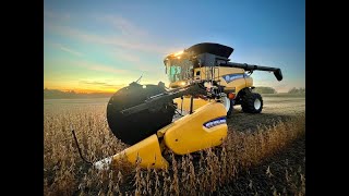 New Holland 880 CF Superflex Draper head review - Case IH 3162 review. The good the bad and the ugly