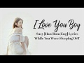 수지 Suzy– I Love You Boy [Han|Rom|Eng]  Lyrics While You Were Sleeping OST Part 4
